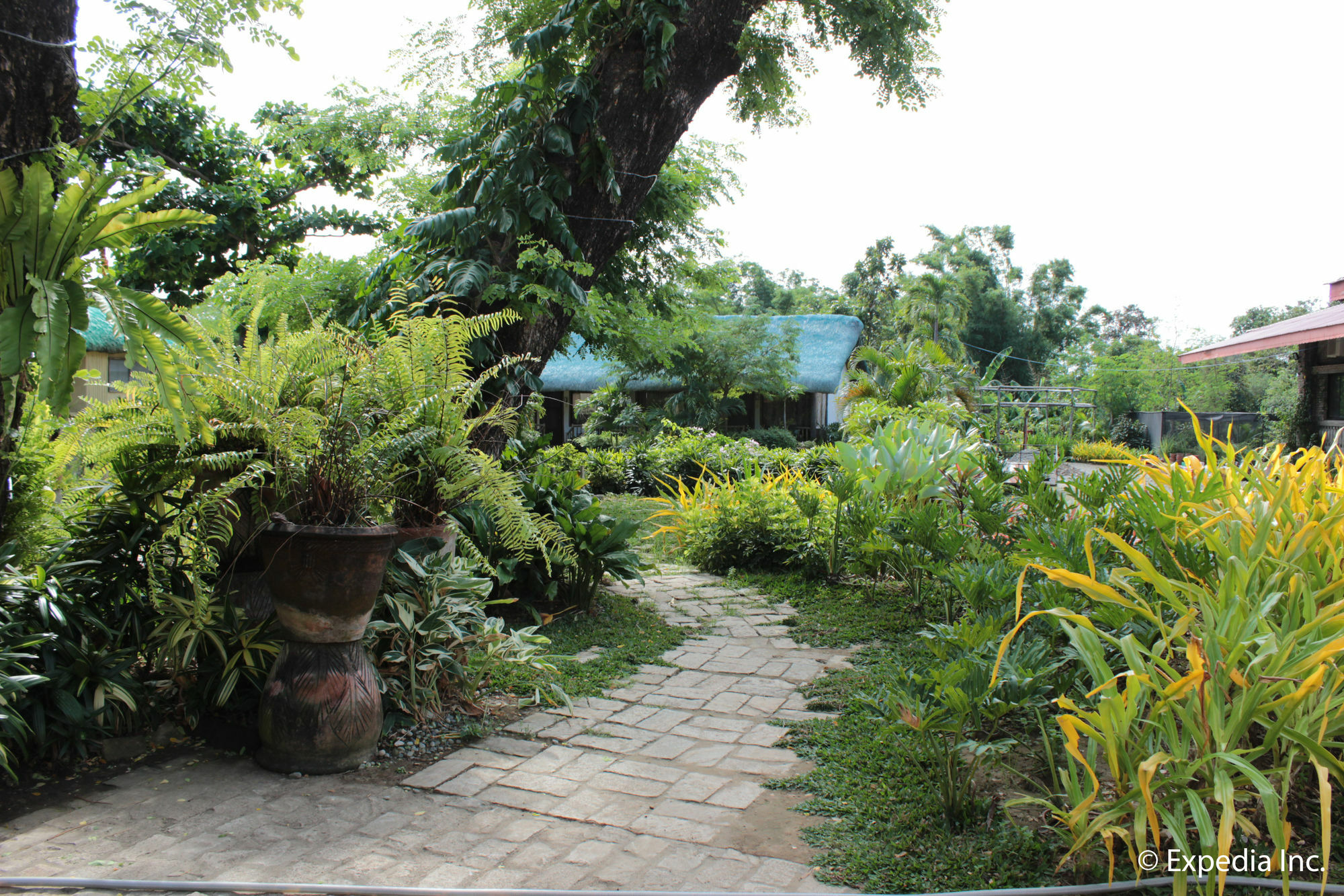 Reddoorz Plus Near Vigan Convention Center 외부 사진