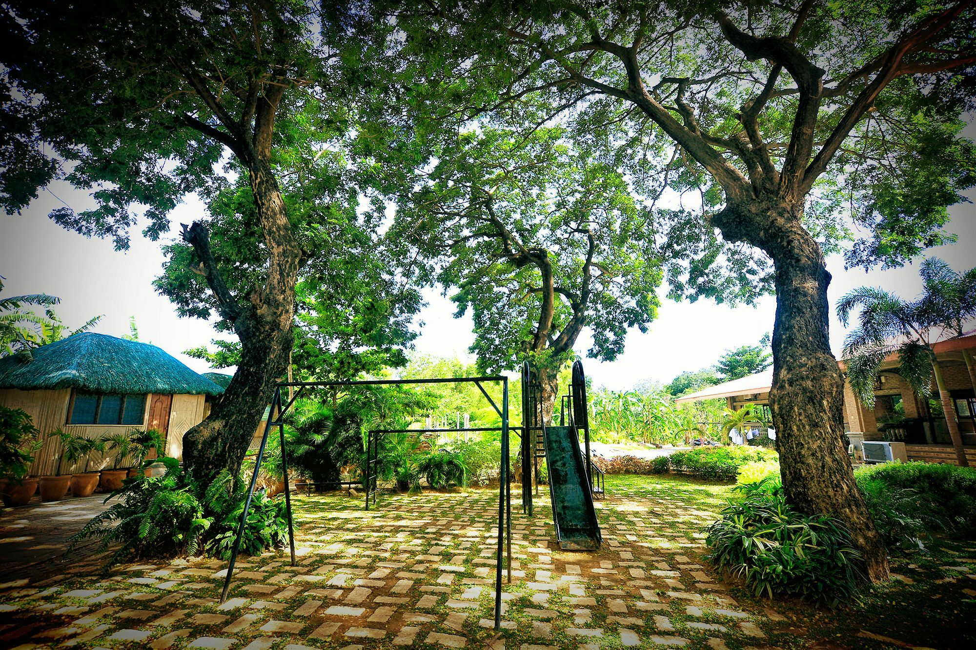 Reddoorz Plus Near Vigan Convention Center 외부 사진